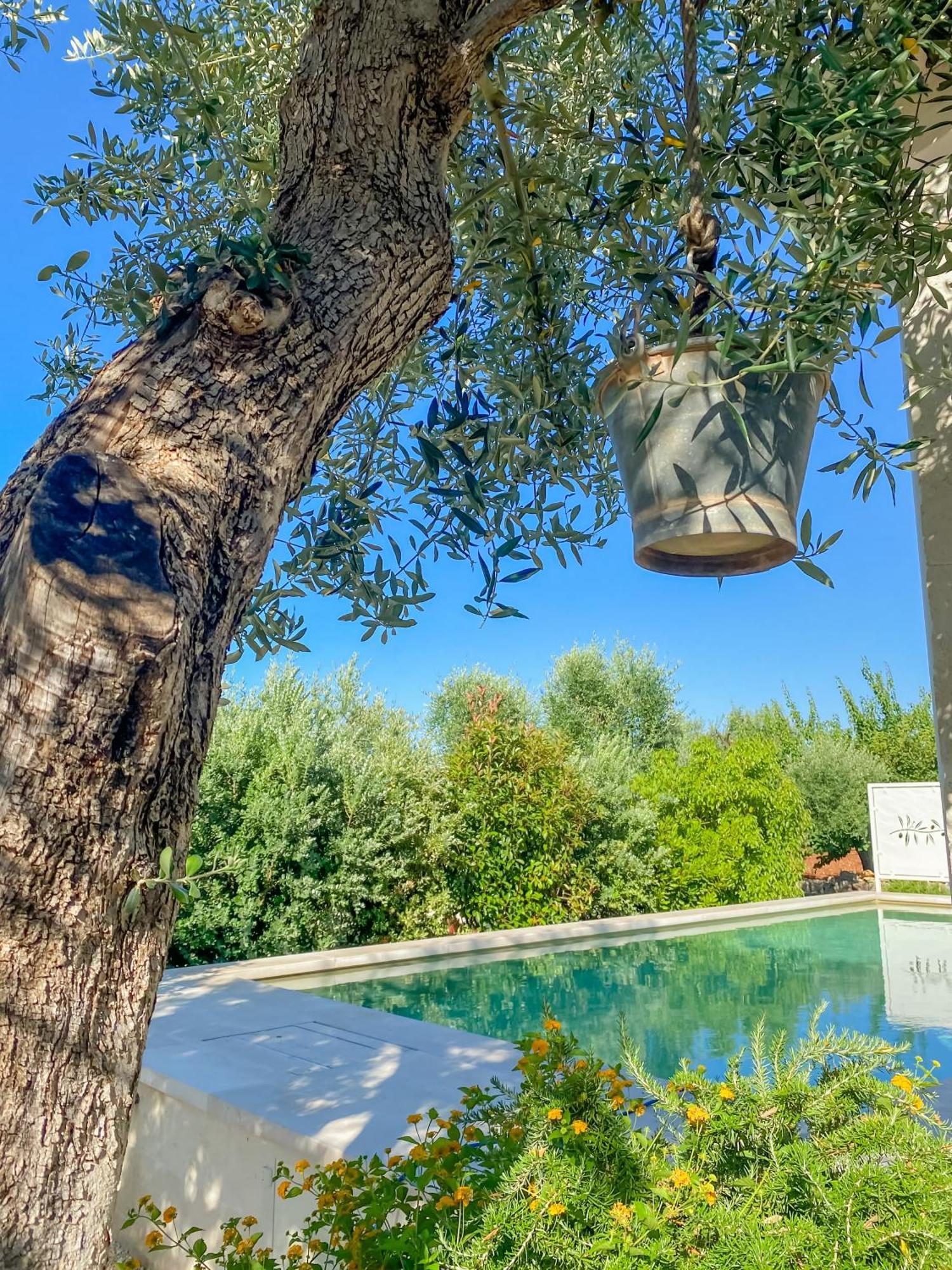 La Mignola Villa ฟาซาโน ภายนอก รูปภาพ